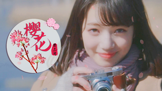 【日影日剧混剪/春季小清新/治愈】樱花祭三月