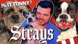 Strays (2023) Movie Review - Funny or Too Silly?