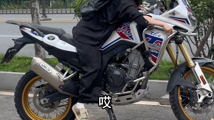 พบโจรขโมยรถขาสั้นตัวหนึ่ง