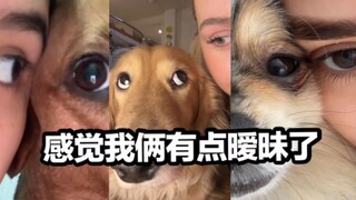 الجرو: لا تفعل هكذا، أشعر أن بيننا شيئًا غامضًا بعض الشيء.