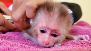 Wow, Fall in love with tiny adorable Luca while Mom put on a new diaper, He is so handsome