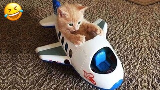 New Funny Cat and Dog Videos 😹🐶 Funniest Animals 🤣 Part 3