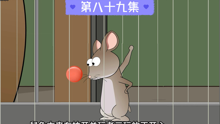 为了帮老三减肥，我特意给它做了个豹豹跑步机！