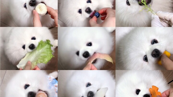 一个蓄谋已久的视频～吃货喜力来啦！