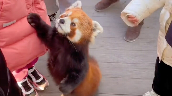 แต่มันอยากให้กอดนี่สิ ใครจะไม่สับสนได้ล่ะ?