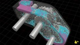 MPS Simulation for Gearbox Optimization | samadii/fluid
