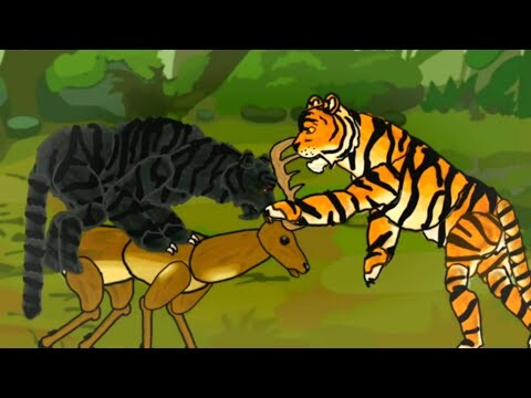 BLACK PANTHER VS TIGER ANIMATION