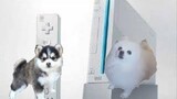 Nintendo Wii Theme by Kazumi Totaka but it's Doggos and Gabe