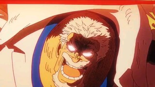 Kakeknya Luffy Menggila