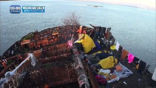 Law of the Jungle in Tonga [2] SUB INDO