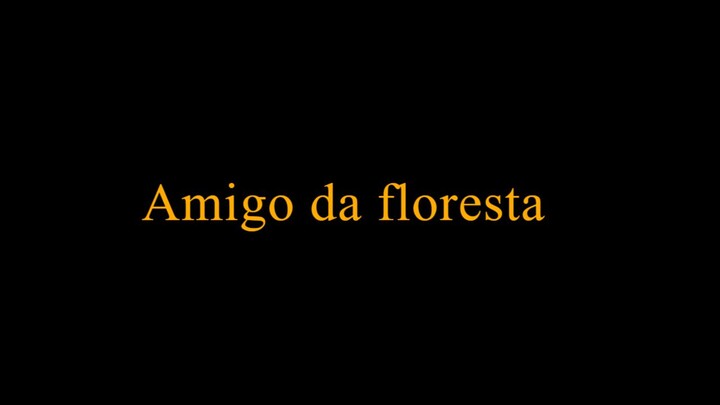 Amigos da floresta - B1 - Part 1