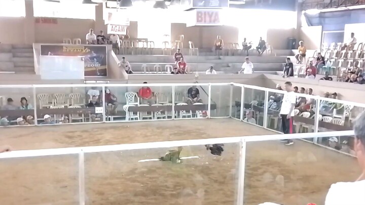 win dec 1, passi city cockpit