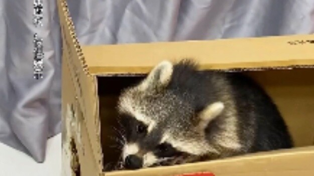 Đây có phải là một giải độc đắc? !