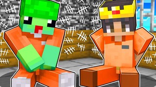 ติดอยู่ในเรือนจำ Minecraft กับเพื่อนของฉัน