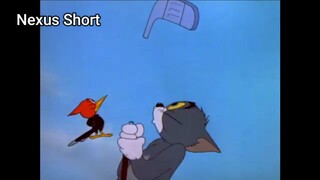 Tom & Jerry (Ep 20.2) Tee For Two (phần 2) #TomandJerry