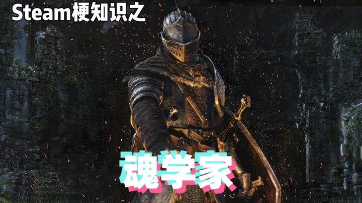 Gaming Memes 101: The Soul Scholar