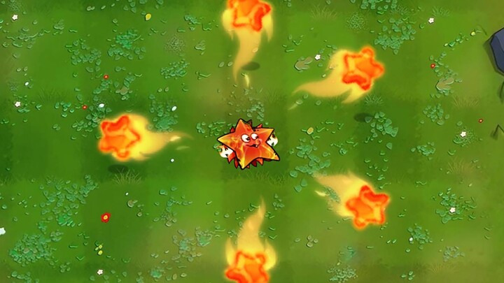 Tanaman baru: Bintang Fanatik