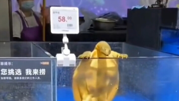 You pick, I’ll reel it in!