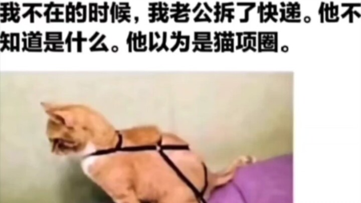 Cũng khá phù hợp