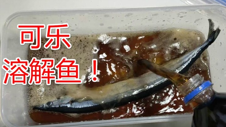 Apakah ikan yang dimasukkan ke dalam cola memang benar-benar akan terlarut? Setelah satu bulan perco