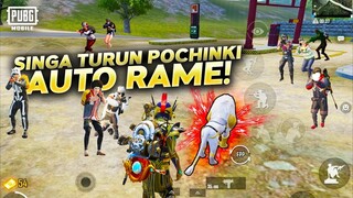 INI DIA SINGA PUTIH POCHINKI! LANGSUNG RATAIN SEMUA MUSUH! - PUBG MOBILE