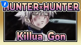 [HUNTER×HUNTER AMV] Dragon Warrior Knight / Killua & Gon_1