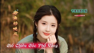 街角的晚风 Gió Chiều Góc Phố Vắng (节奏氛围女版) 森淼淼 _ 失眠的猫