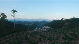 THỊT NỘM RA MÁ ĐẮNG TRÊN ĐỒI CAO