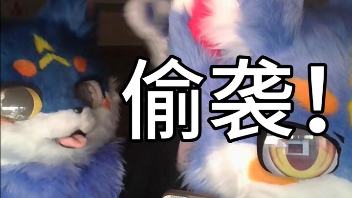 当你的好朋友不是Furry控！来你家会……？【第二期】