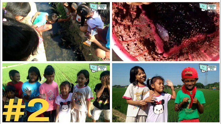 Airin dan teman-teman mencari ikan di sawah | akereka tv