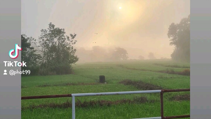 หนาวแล้ว