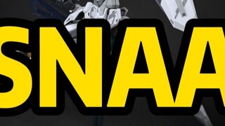 Seri Produsen Model Nasional—SNAA