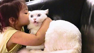Funny Cats And Dogs Reaction To Kiss 😘🙀 | Pets House