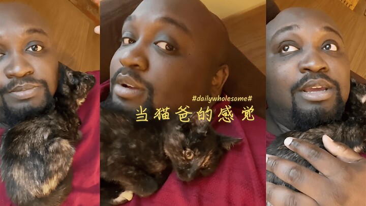 Pria bertubuh kekar pun tak tahan menghadapi serangan lembut si kucing kecil, bahkan sampai menderit