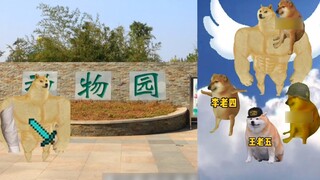 "Zoo" của Yan Laoba, hãy tự tin xem nó, không đáng sợ đâu,