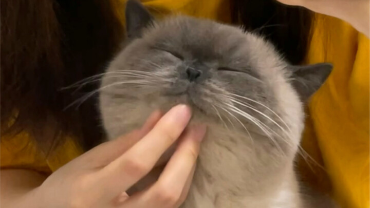 Guest, were you satisfied with today’s scalp spa?