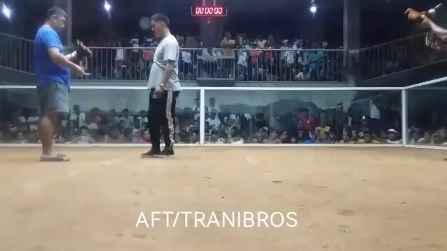 4 stags solo champion Taft eastern Samar