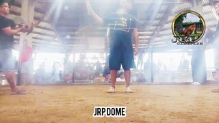 JRP dome LW Testing Stag ilaban sa Bullstag!