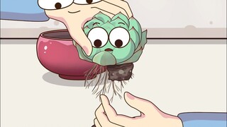 Hóa ra có những mẹo trồng cây mọng nước mua trên mạng
