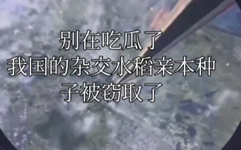 Hasil kerja keras seumur hidup Kakek Yuan justru dicuri begitu saja #YuanLongping#