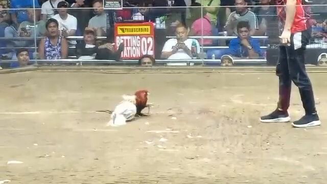 2hits 2nd fight win, nadaan sa sipag 😅 #champion💪🏆