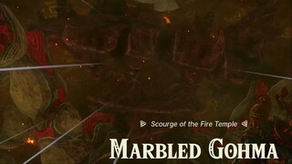 Marbled Gohma Scourge of the Fire Temple - Legend of Zelda: Tears of the Kingdom