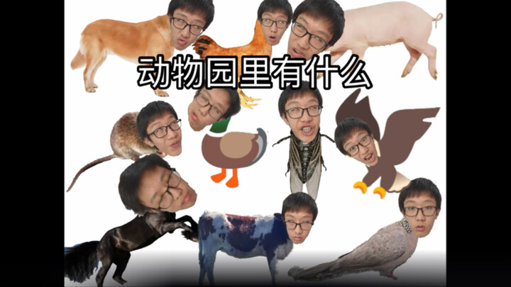 I played “What’s in the Zoo” all by myself.