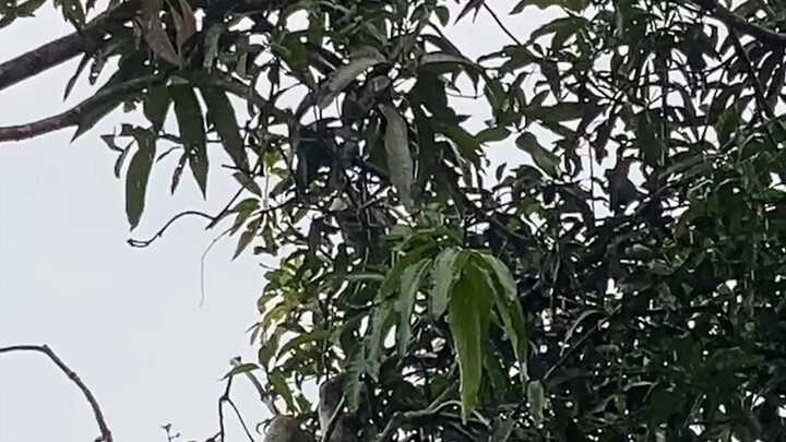 বৃষ্টি । ভিডিও ২০২৬