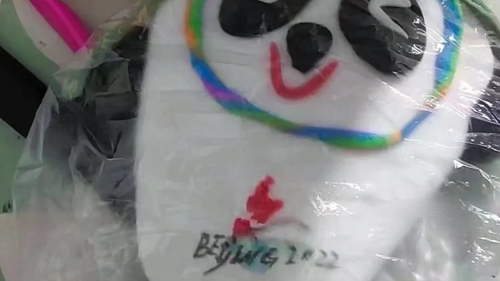 The Bing Dwen Dwen I got through connections finally arrived!