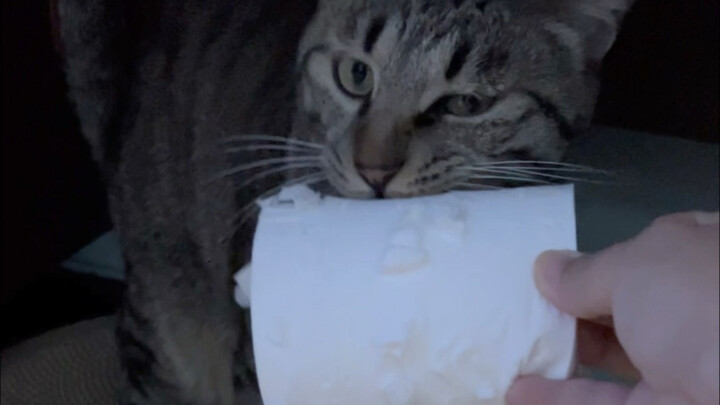 จะสาธิตให้ดูนะคะ