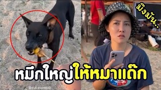 หมึกใหญ่ขนาดนี้ มันให้ไอ้ปื๊ดกิน ... !! #รวมคลิปฮาพากย์ไทย