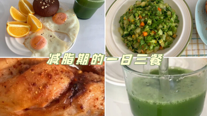 What I Eat in a Day During Fat Loss | 61kg Body Weight | Cucumber Salad with Mustard Sauce — Fell in