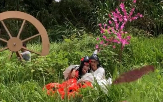 Watch "The Journey of Flower" in 1 Minute