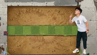 植物大战僵尸：疯狂的第一关。